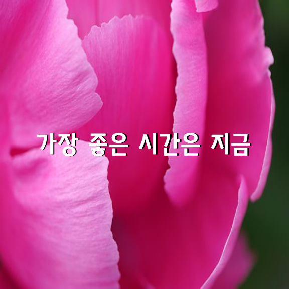 중요한 일을 미루는 것은