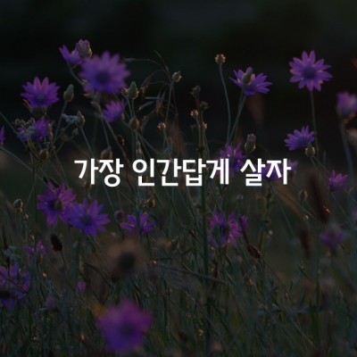 지금 이 순간을 가장 인간답게 살자