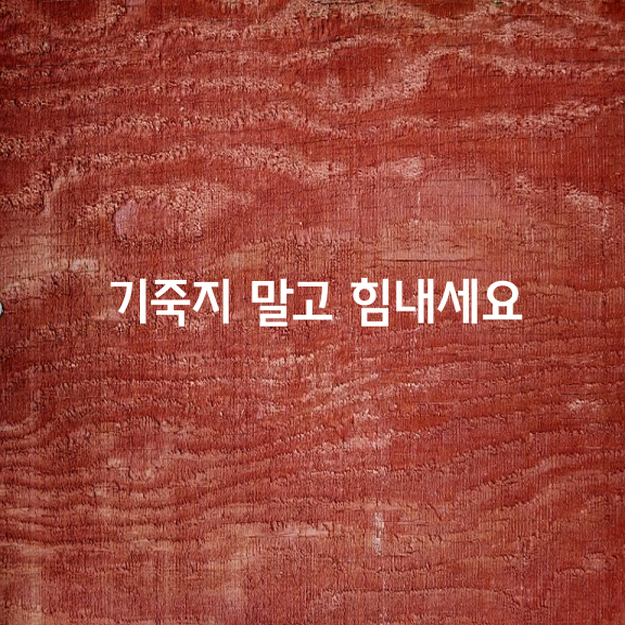 지금 힘드신 거,