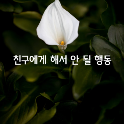 진정한 친구에게 해서는 안 될 행동