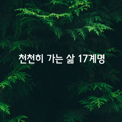 천천히 가는 삶 17계명