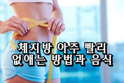 체지방 아주 빨리 없애는 방법과 음식