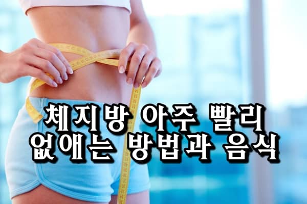 체지방 아주 빨리 없애는 방법과 음식