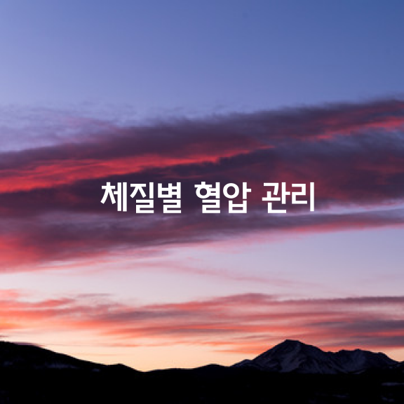 체질별 혈압 관리