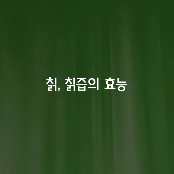 칡, 칡즙의 효능 9가지 & 복용 주의점