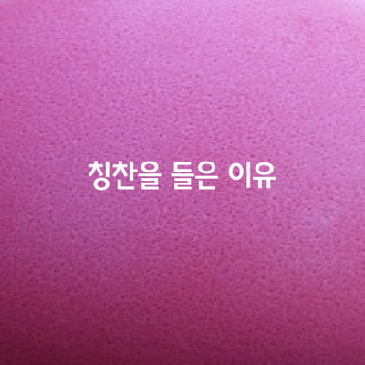 칭찬을 들은 이유