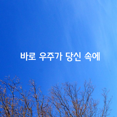 큰 산을 보는 데