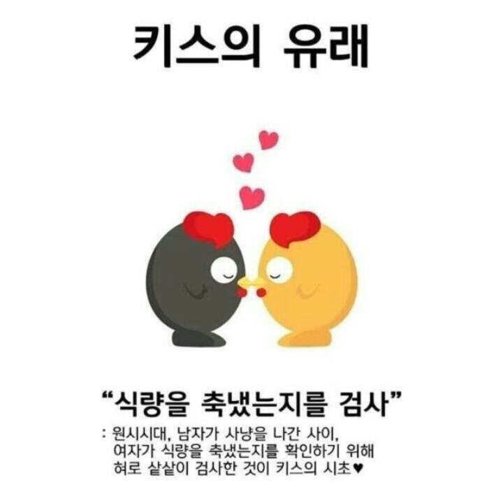 키스의 유래에 대해