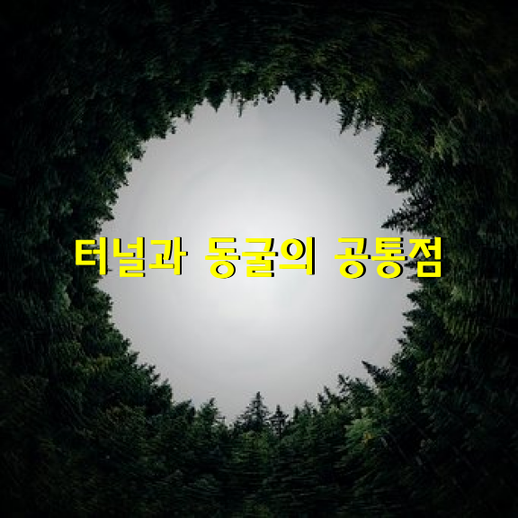 터널과 동굴의 공통점은 안이 어둡다는 것입니다.