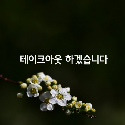 테이크아웃 하겠습니다