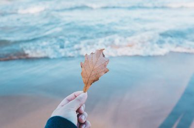 톨스토이 인생 교훈 10가지  