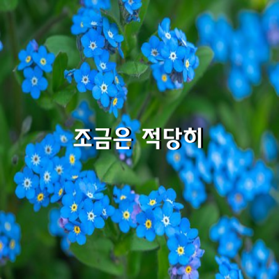 ‘파이팅’ 같은 건 하지 말자.