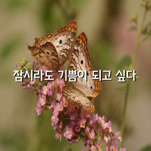 편지가 되고 싶다