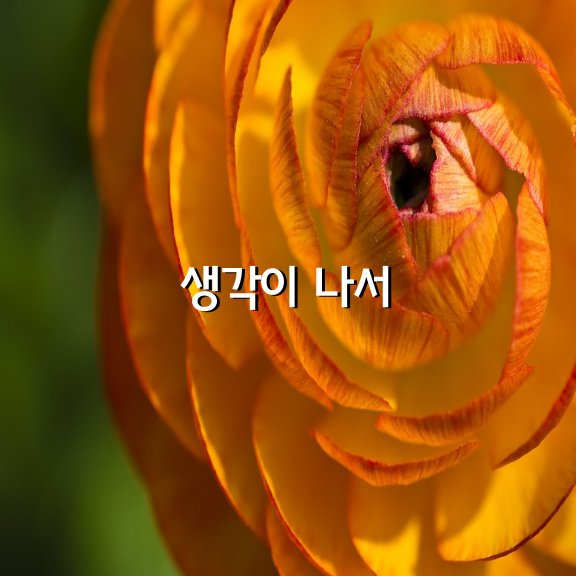 편지를 쓸까 했어요.