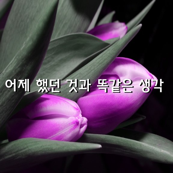 평범한 사람은