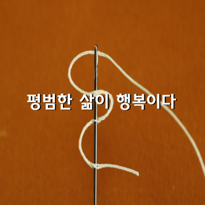 평범한 삶이 행복이다