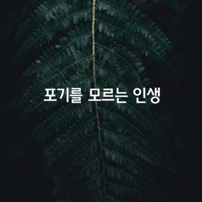 포기를 모르는 인생