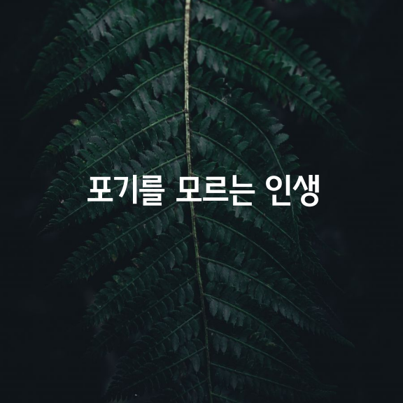 포기를 모르는 인생