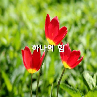 하나의 힘