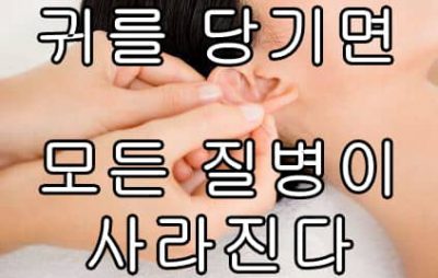 하루 한번 귀를 당기면 나타나는 효과