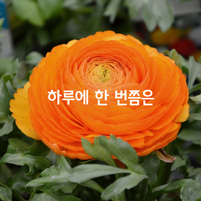 하루에 한 번쯤은