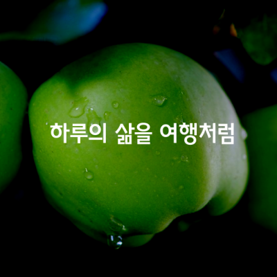 하루의 삶을 여행처럼