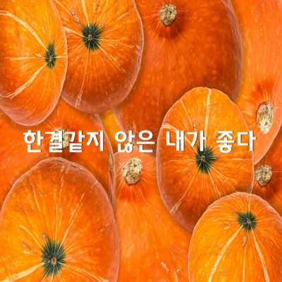 한결같지 않은 내가 좋다