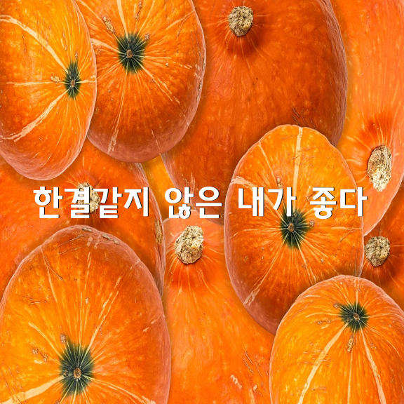 한결같지 않은 내가 좋다