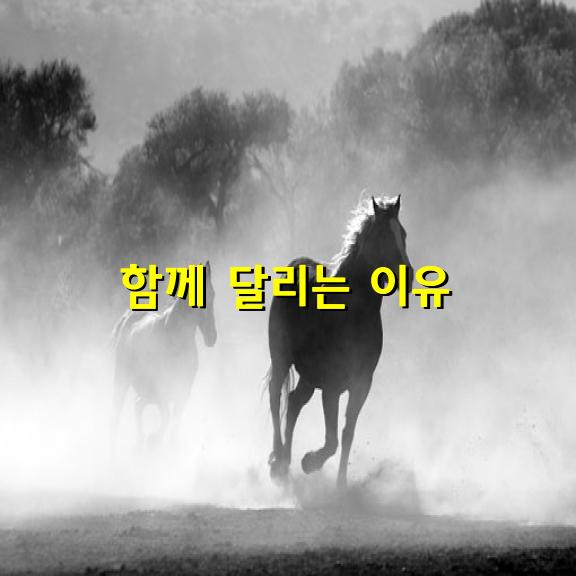 함께 달리는 이유