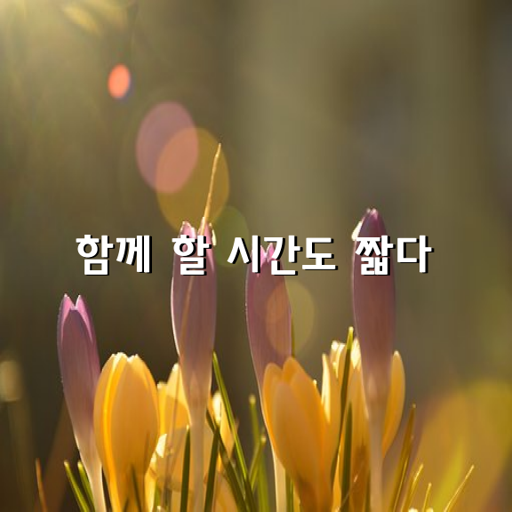 함께 할 시간도 짧다