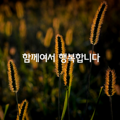 함께여서 행복합니다