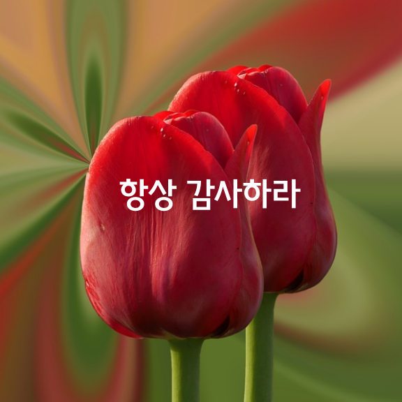 항상 감사하라