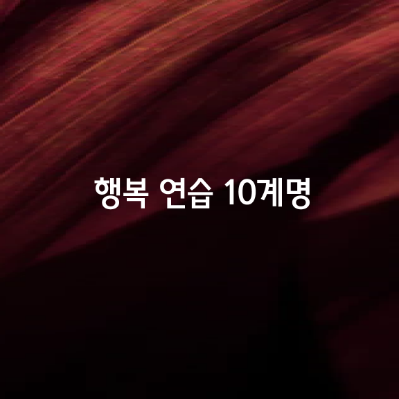 행복 연습 10계명