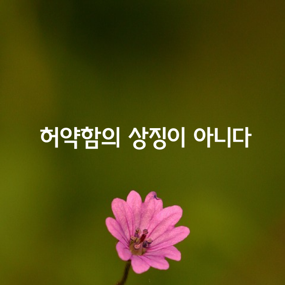 허약함의 상징이 아니다.