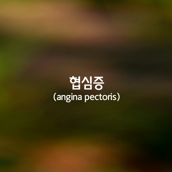 협심증(angina pectoris)