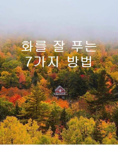 화를 잘 푸는 7가지 방법