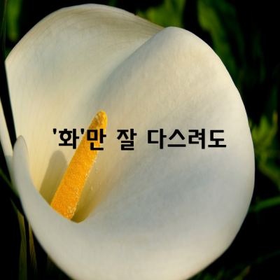 ‘화’만 잘 다스려도 인생은 즐겁고 행복하다.