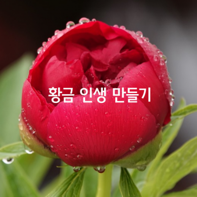 황금 인생을 만드는 다섯가지 富