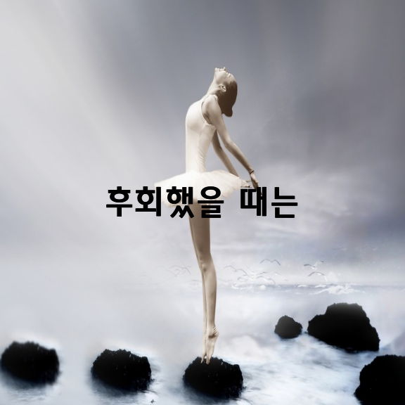 후회했을 때는 이미 늦은 것이다 / 이신화