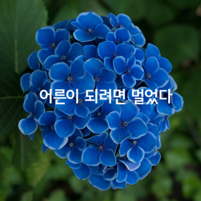 휴대폰 문자함이나 메일함도