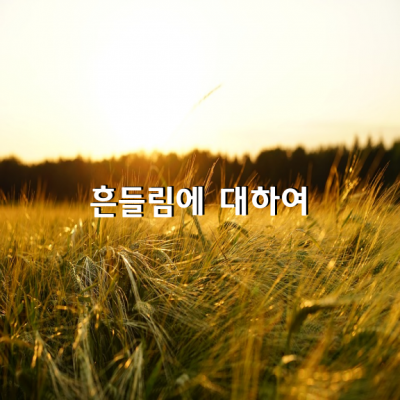 흔들림에 대하여 / 오영록