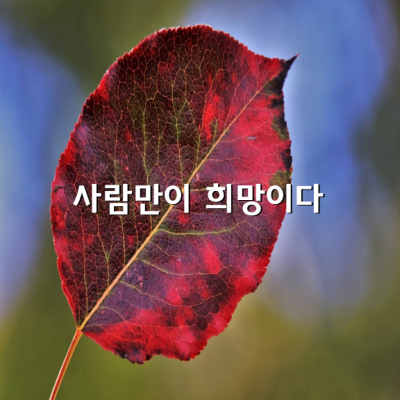 희망찬 사람은