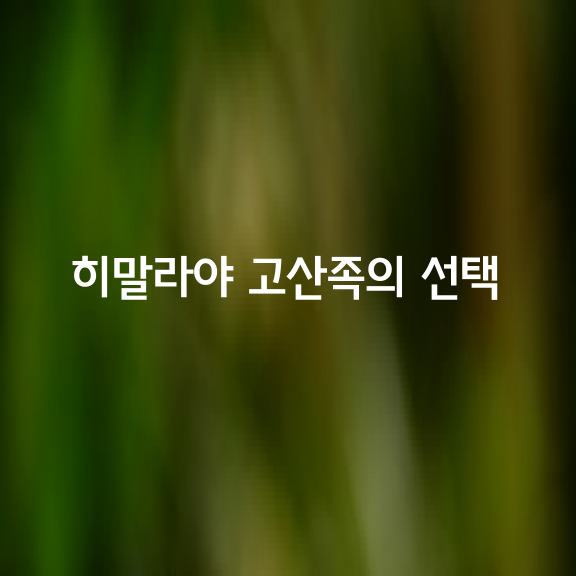 히말라야 고산족의 선택