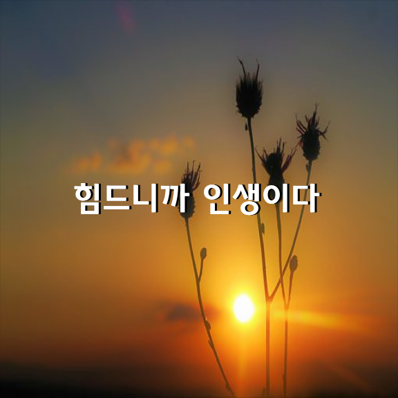 힘드니까 인생이다. 하지만 끝은 아름답다!