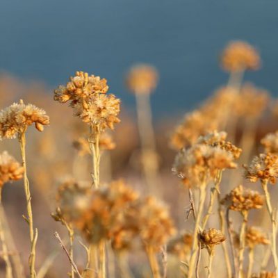 힘들어 하는 당신을 위한 글