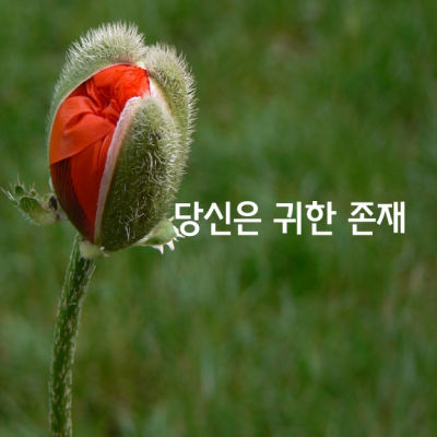 힘들어 하지 마세요.