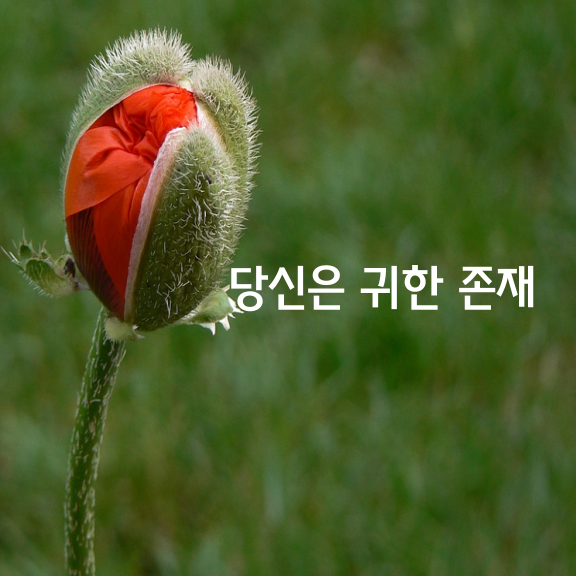 힘들어 하지 마세요.