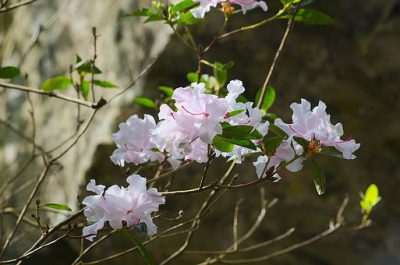 백억짜리 성공법칙 8계명