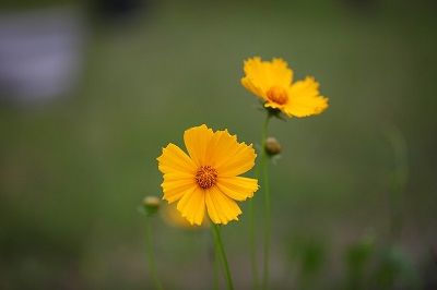 오랫동안 지켜볼 수 있는 사람