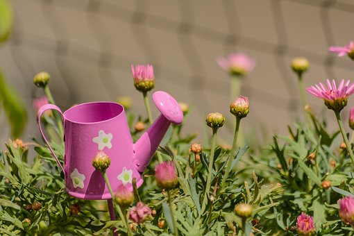 죽어도 행복은 포기하지 마라